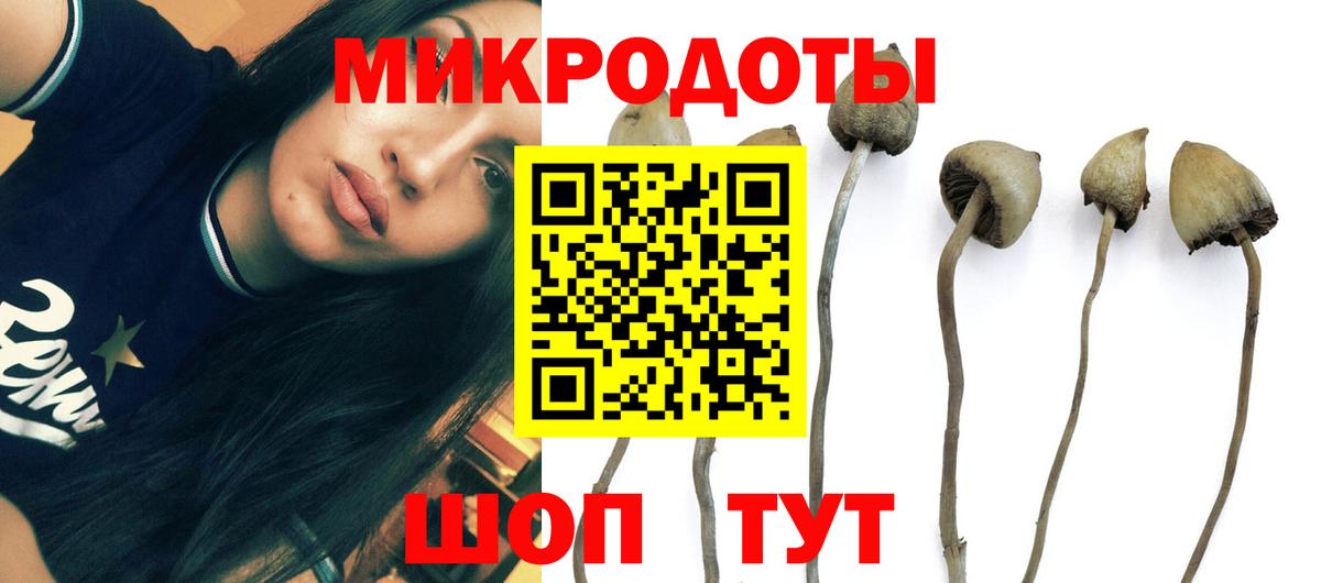 Псилоцибиновые грибы Psilocybe  Вход с VPN  Псилоцибиновые грибы GOLDEN TEACHER  Рославль 